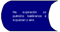 Datos almacenados: Na expiracin os pulmns baliranse e expulsan o aire.
