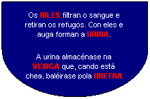 Retraso: Os RILES filtran o sangue e retiran os refugos. Con eles e auga forman a URINA.
A urina almacnase na VEXIGA que, cando est chea, balirase pola URETRA
