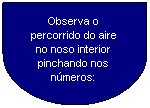 Retraso: A RESPIRACIN   o proceso polo que o noso corpo colle osxeno do aire.
O APARELLO RESPIRATORIO  o encargado de coller osxeno do aire e expulsar o dixido de carbono.
