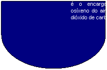 Retraso: A RESPIRACIN   o proceso polo que o noso corpo colle osxeno do aire.
O APARELLO RESPIRATORIO  o encargado de coller osxeno do aire e expulsar o dixido de carbono.
